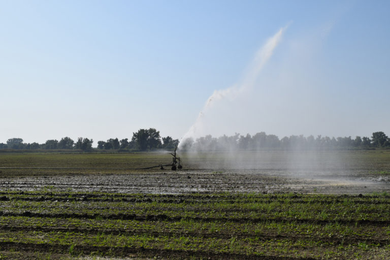 Funding for Farm Fencing and Irrigation Farm Grants Farm Funding