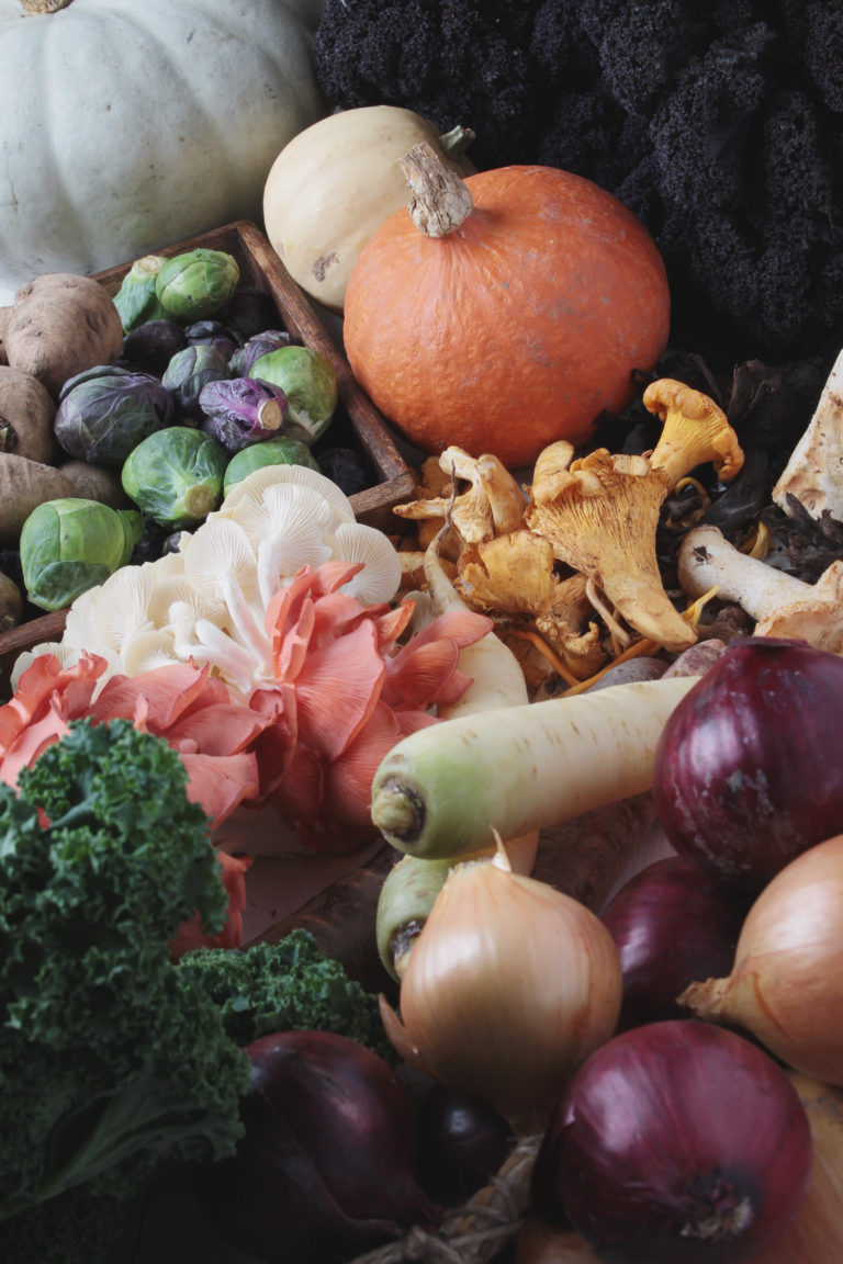 The Top 5 Vegetables to Grow in Canada Farm Grants Farm Funding